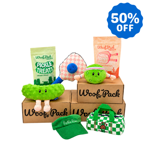 12 Month Subscription: 1st Box 50%