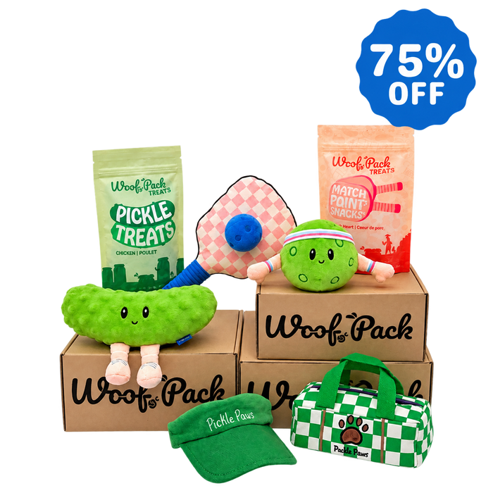 12 Month Subscription: 75% Off 1st Box