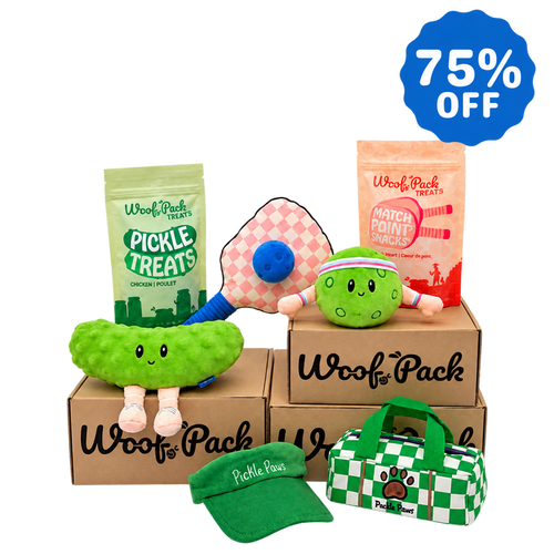 12 Month Subscription: 75% Off 1st Box