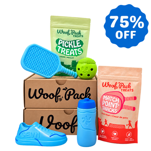 12 Month Subscription: Chewer 75% Off 1st Box