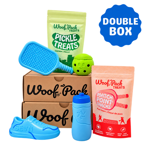 12 Month Subscription: Chewer Double 1st Box