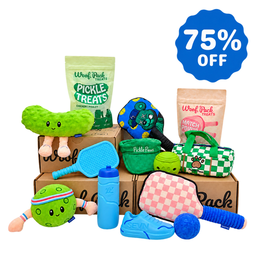 12 Month Subscription: Combo 75% Off 1st Box
