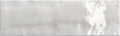 Great Plains Collection 3 x 10 Glossy Subway Tile GPL9302 Prairie Pup