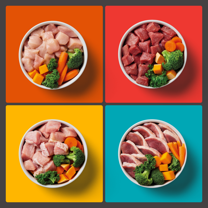 10kg Adult Raw Variety Box with bowls of raw dog food and vegetables, arranged in a grid pattern.