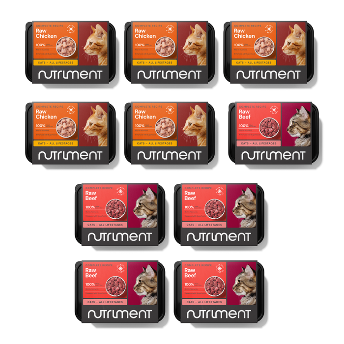 Ten 5kg Cat Raw Starter Duo Boxes arranged in two neat rows.