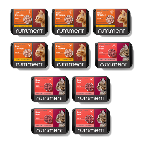 Ten 5kg Cat Raw Starter Duo Boxes arranged in two neat rows.