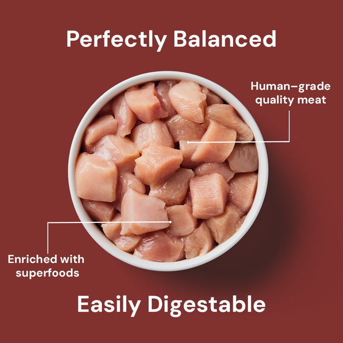 5kg Cat Raw Starter Duo Box: human-grade, superfood-enriched, balanced, and easily digestible cat food.