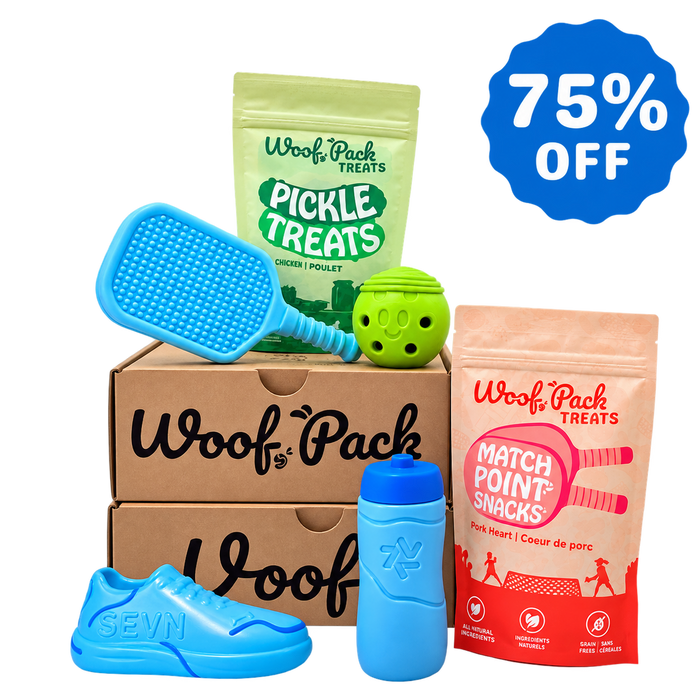6 Month Subscription: Chewer 75% Off 1st Box