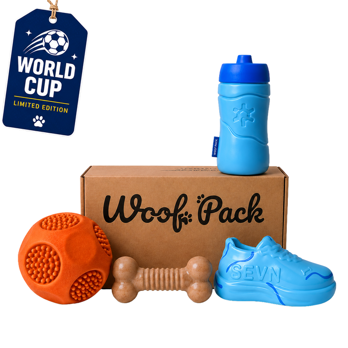6 Month Subscription: Chewer Free Soccer Celebration Box