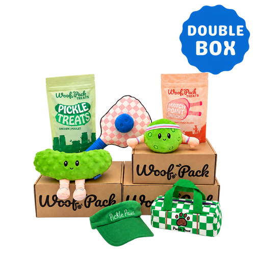 6 Month Subscription: Double 1st Box