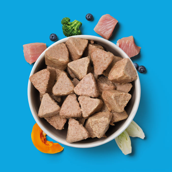 8kg Puppy Raw Nugget Starter Pack with turkey, meat, veggies & fruit served in a bowl on a blue background.