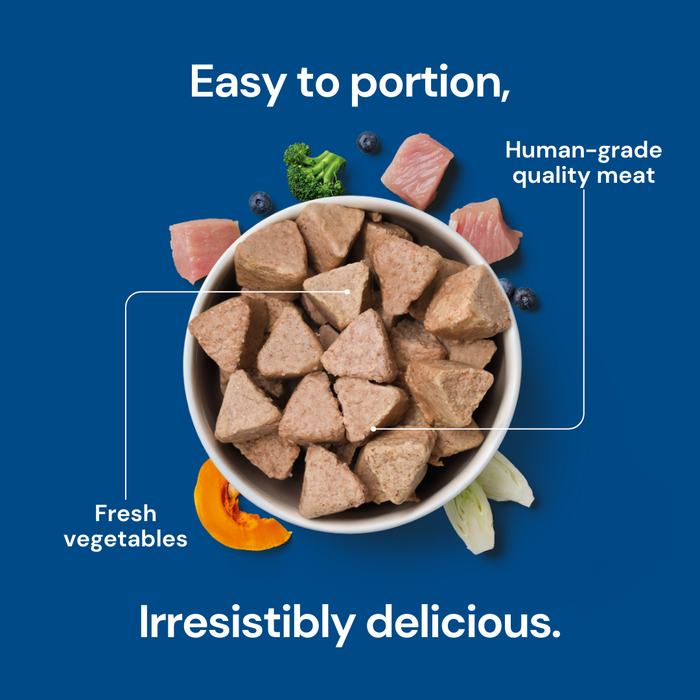 8kg Puppy Raw Nugget Starter Pack: triangle-shaped meat & veggie chunks; labeled benefits on blue.