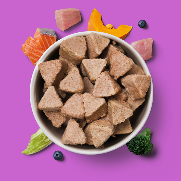 The 8kg Senior Raw Nugget Starter Pack for dogs features fish, pumpkin & greens for joint health.