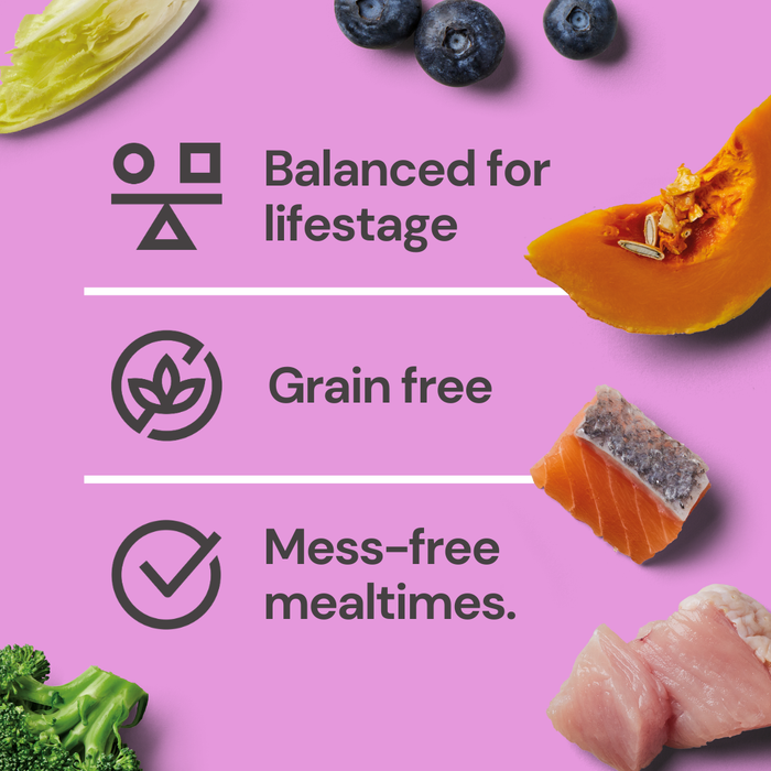 8kg Senior Raw Nugget Starter Pack: Grain free, joint support, with fruits, veggies & proteins.