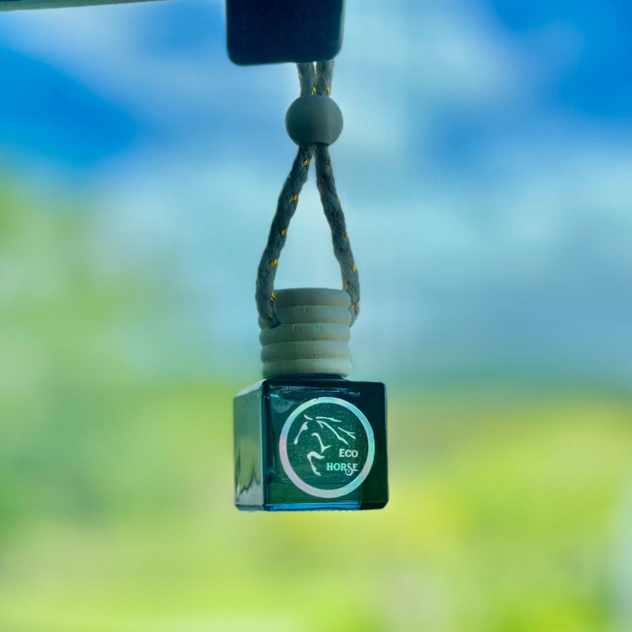 On The Move Car Diffusers