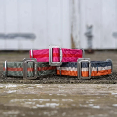 All-Terrain Canvas Collar
