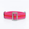 All-Terrain Canvas Collar