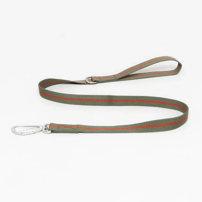 All Terrain Canvas Lead