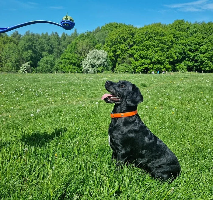 Ball Launcher