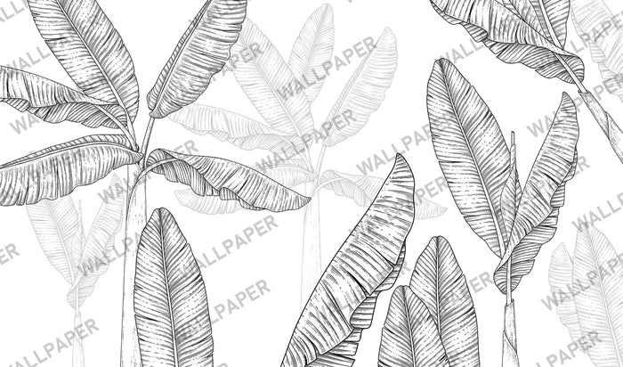 Banana Leaf Wallpaper Mural: Black & White Tropical Peel and Stick