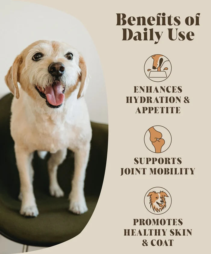 Beef Bone Broth For Dogs