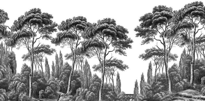 Black and White Tropical Forest Wallpaper: Nostalgic Palm Trees, Peel and Stick