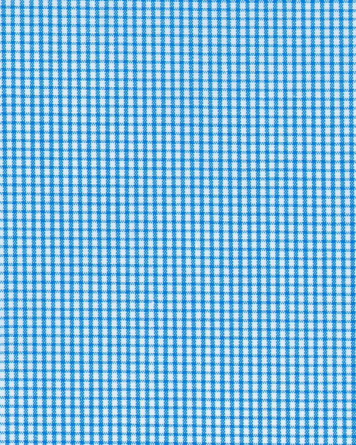 Blue Micro Checks