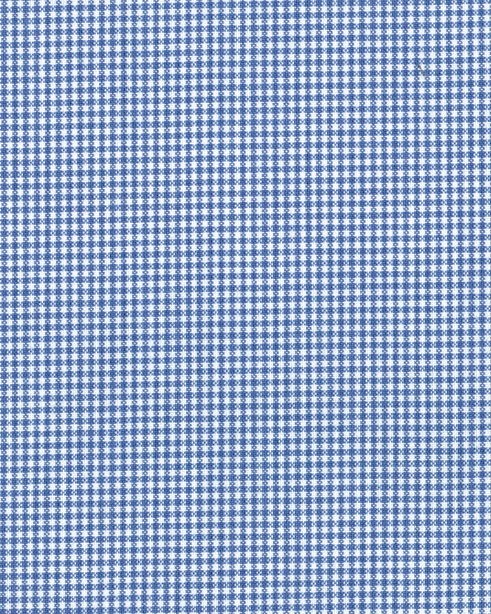 Blue Micro Checks