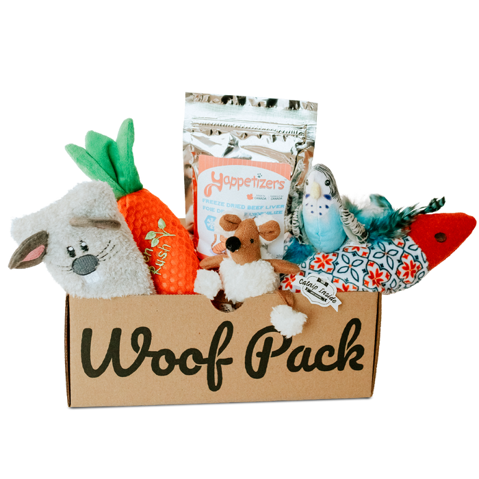 Cat Box