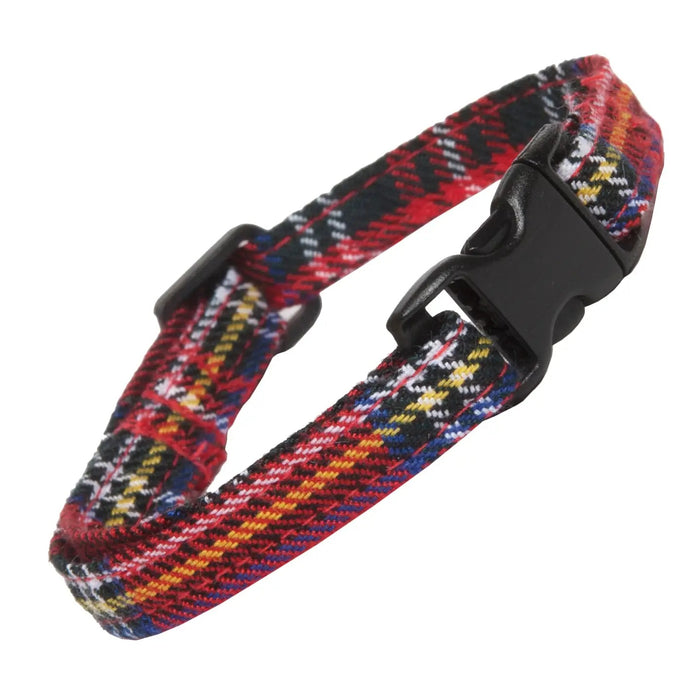 Cat Collars - Various Designs