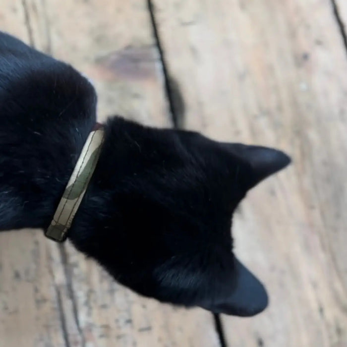 Cat Collars - Various Designs