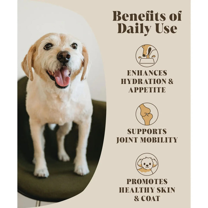 Chicken Bone Broth For Dogs