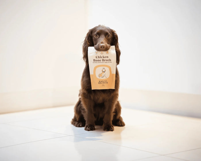 Chicken Bone Broth For Dogs