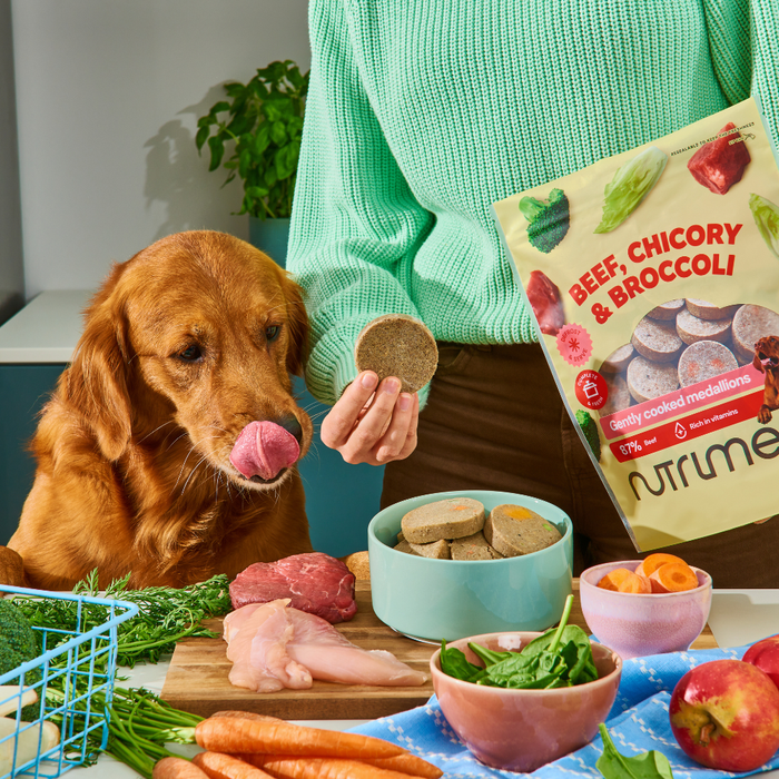 A dog licks its lips as Chicken-Free Fresh Bundle (8 x 800g) medallions sit by fresh meat and veggies on the counter.