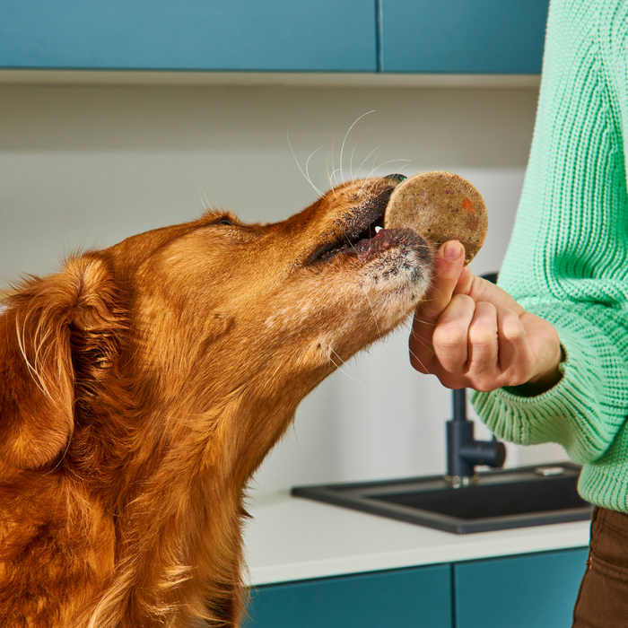 A person offers a Chicken-Free Fresh Bundle (8 x 800g) dog food treat to a golden retriever in the kitchen.