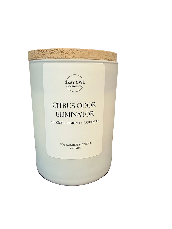 Citrus Odor Eliminator Candle