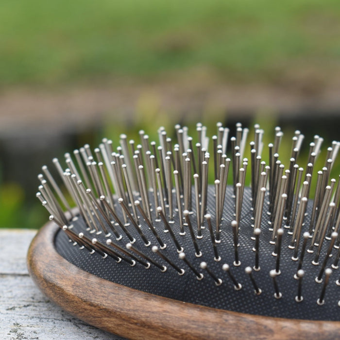 CLEARANCE Eco Tail & Mane Brush