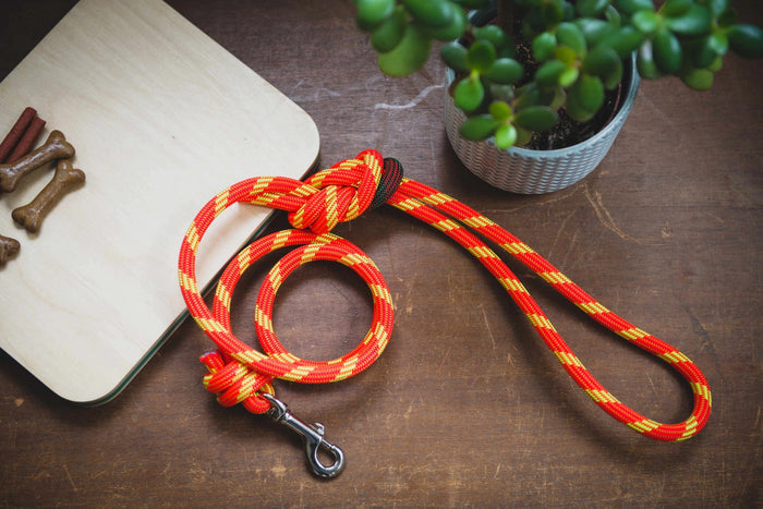 Climbing Rope Dog Leash
