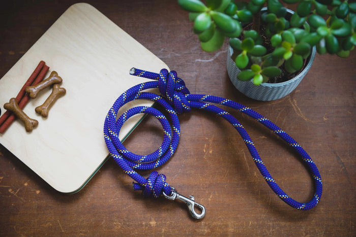 Climbing Rope Dog Leash