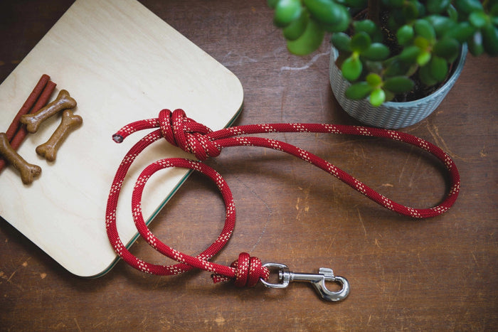 Climbing Rope Dog Leash