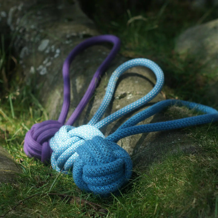 Climbing Rope Dog Toy
