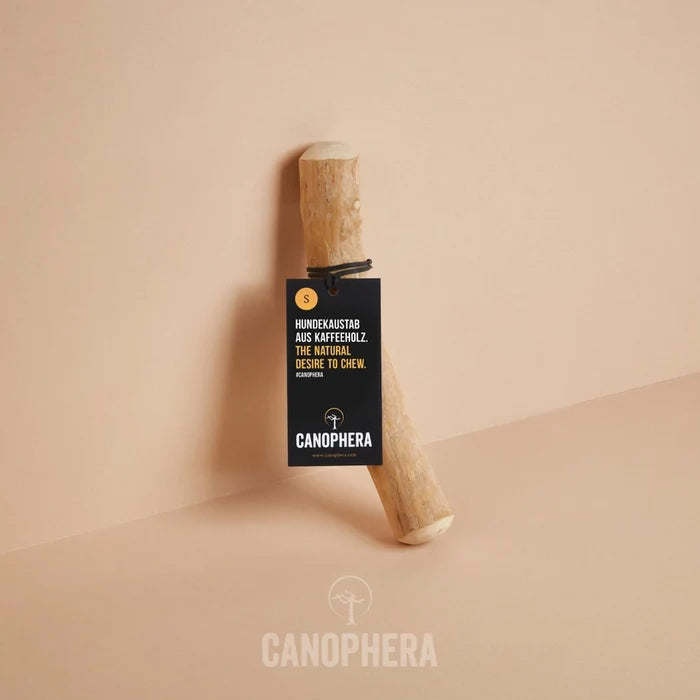 Coffee Wood - Canophera