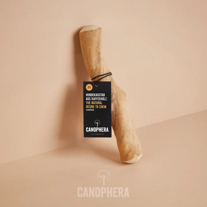 Coffee Wood - Canophera