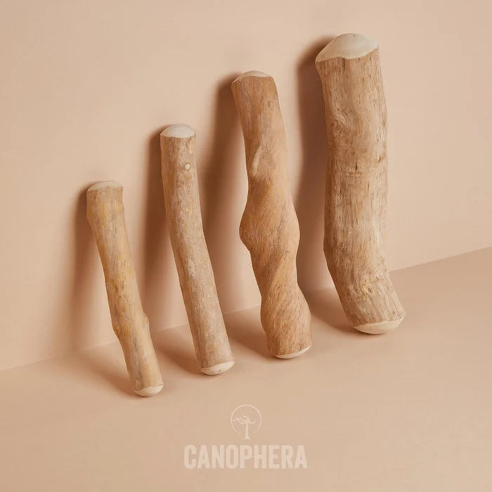 Coffee Wood - Canophera