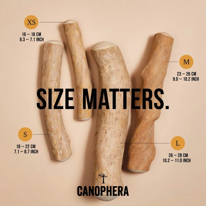 Coffee Wood - Canophera
