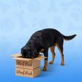 Comeback Box - Monthly - Chewer