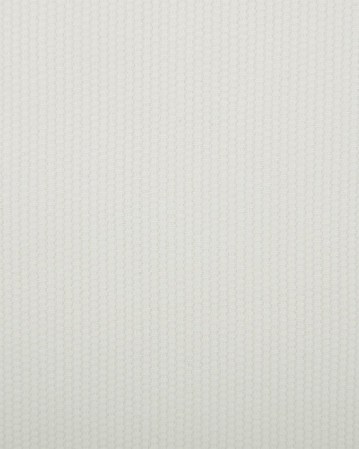 Off-White Cotton Canvas