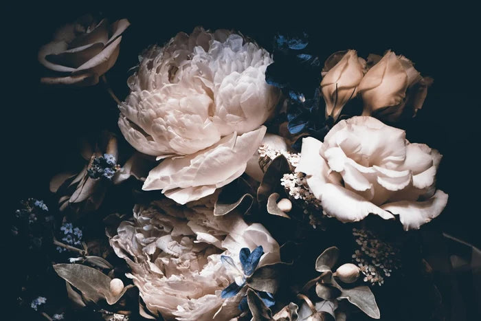 Dark Floral Wallpaper: Peonies and Roses on Black, Peel & Stick Mural