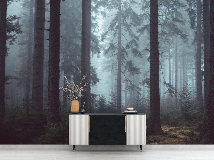 Dark Forest Landscape Wallpaper: Study Room, Office Decor