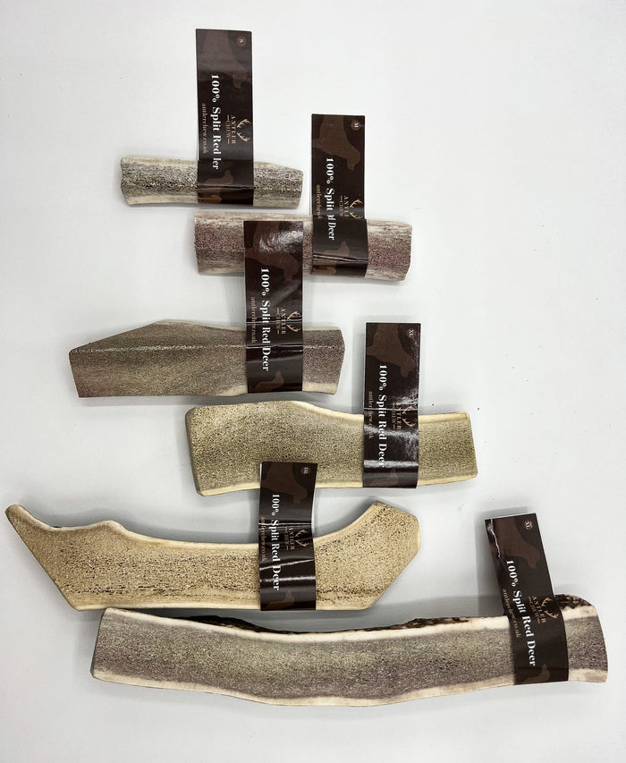 Deer Antler Whole & Split - Various Sizes